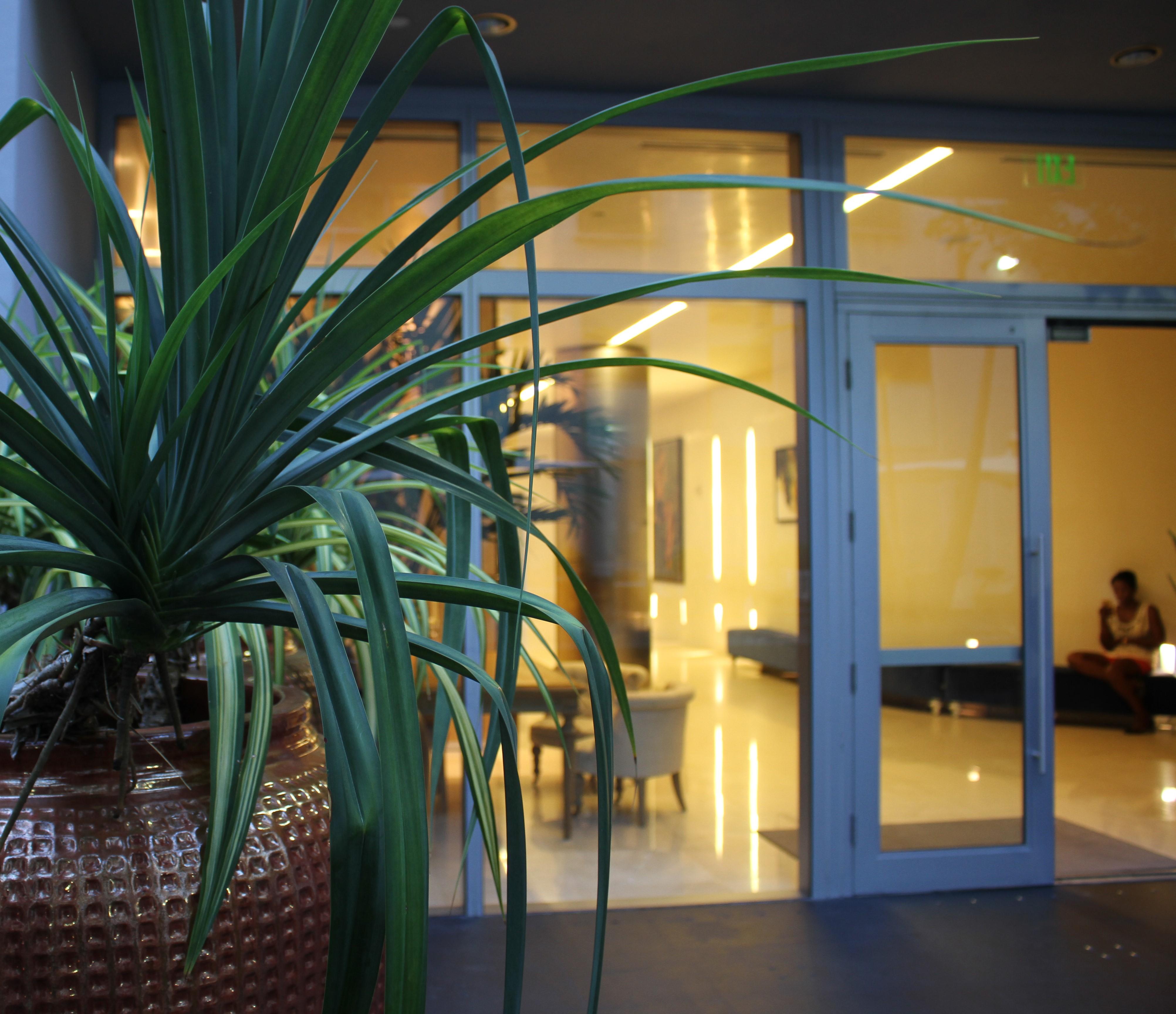 Boulan South Beach Miami Beach Exterior photo